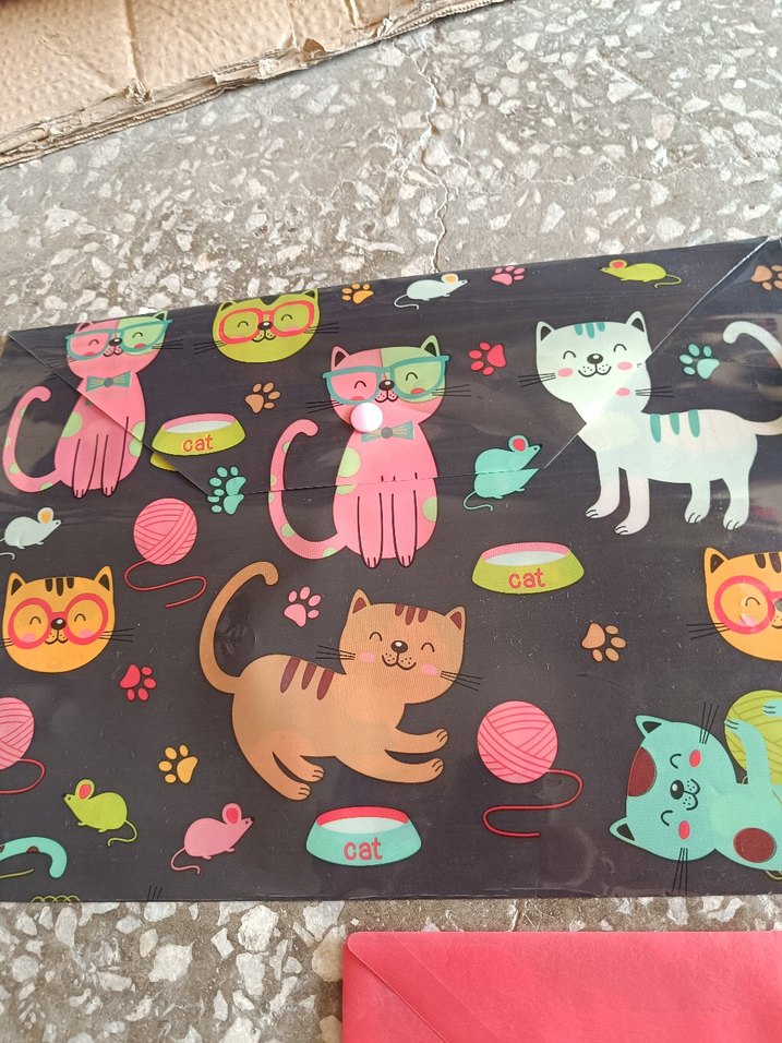 Renkli Baskılı çıtçıtlı dosya - Görsel 4