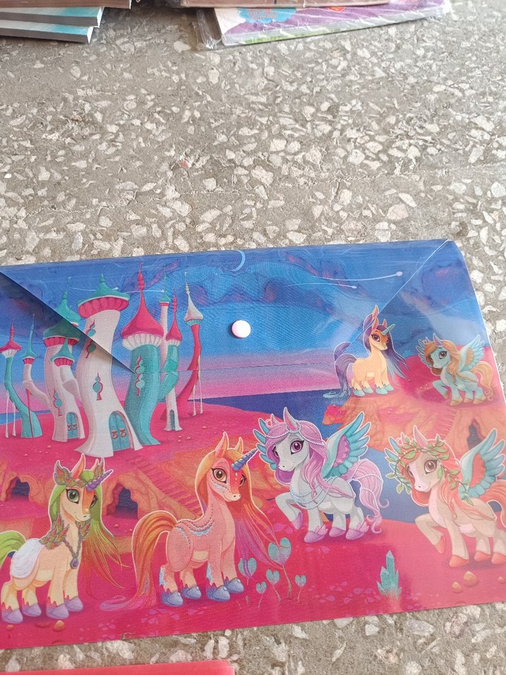 Renkli Baskılı çıtçıtlı dosya - Görsel 3