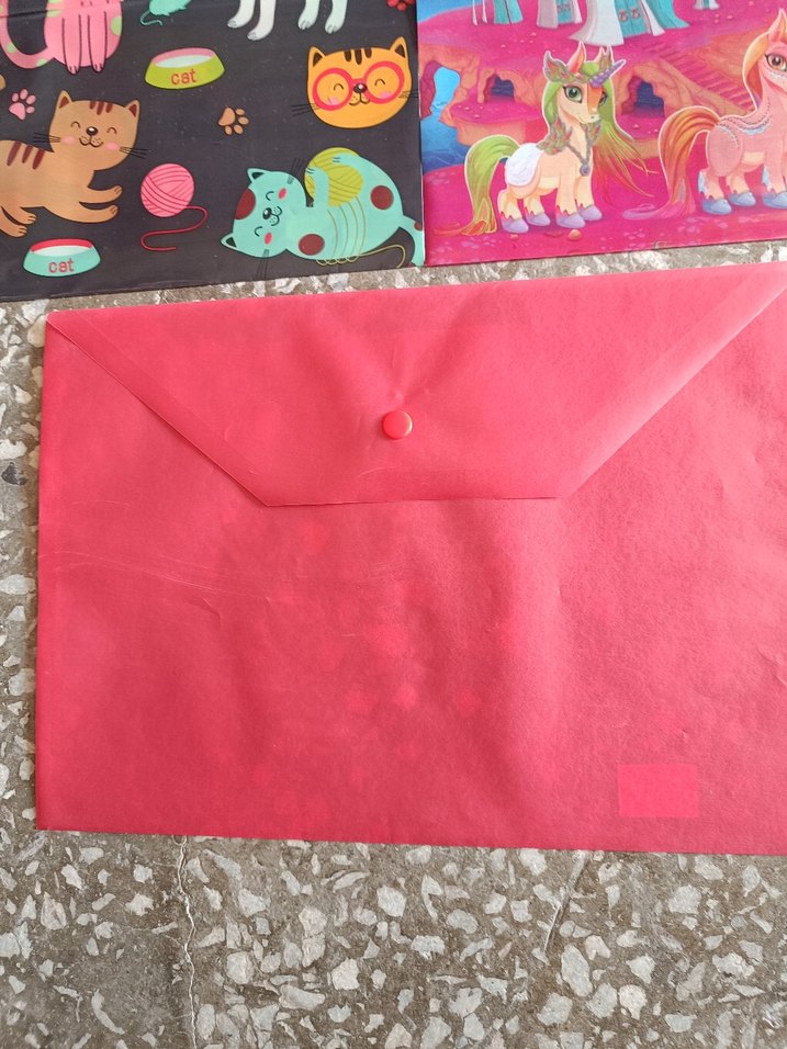 Renkli Baskılı çıtçıtlı dosya - Görsel 5