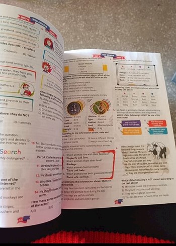 More and More 7 İngilizce Test Kitabı - Görsel 3