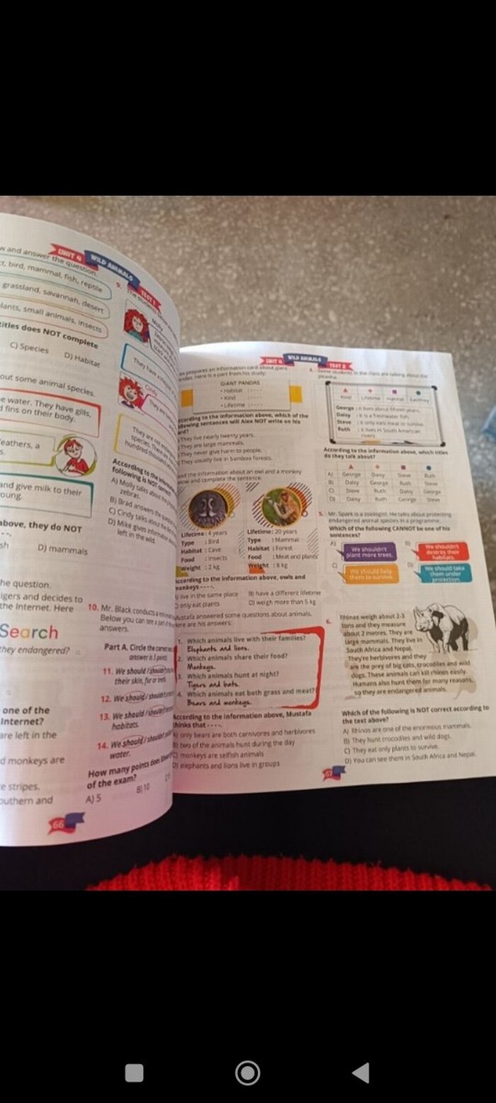 More and More 7 İngilizce Test Kitabı - Görsel 3