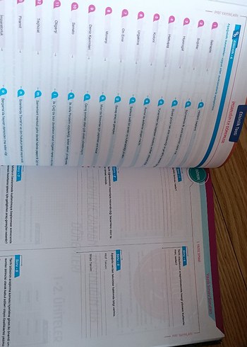 9. Sınıf test kitabı Soru Bankası - Görsel 18