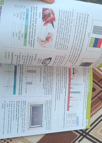Fenomen 5B Fen Bilimleri Soru Bankası