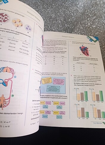 6 sınıf tüm dersler test kitabı