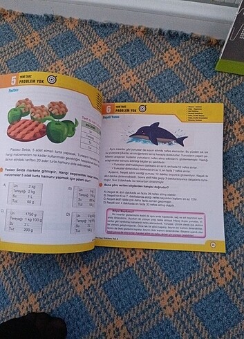 Beden Renk 4. Sınıf okuma anlama problem test kitabı