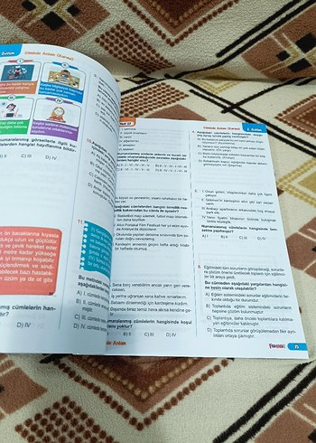 Beden Renk Fenomen 5. Sınıf Anlam Bilgisi Soru Bankası