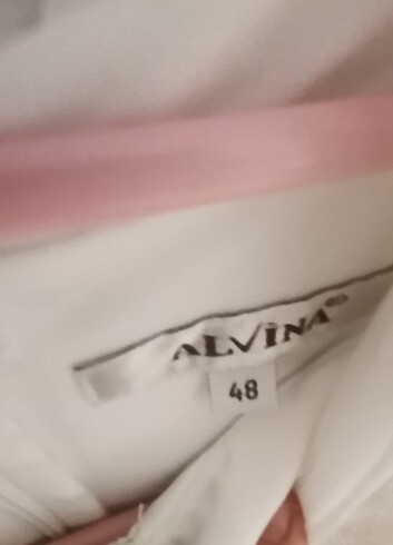 Alvina Alvina marka sıfon gomlek