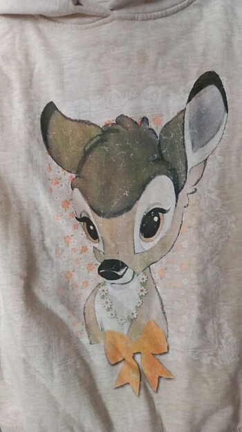 Walt Disney World sweatshirt