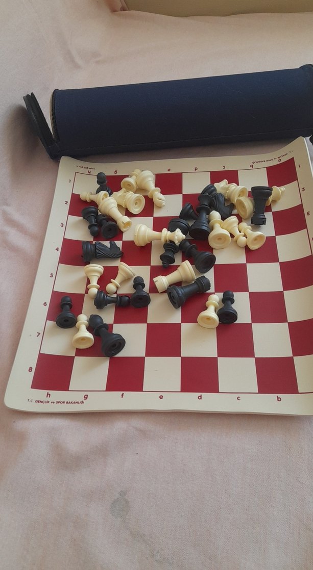 Satranç takimi - Görsel 2
