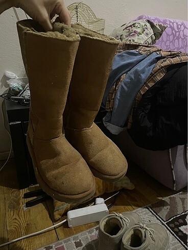 36 Beden Ugg bot
