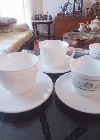 arkopal Fransız - Görsel 8