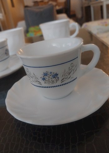 arkopal Fransız - Görsel 2