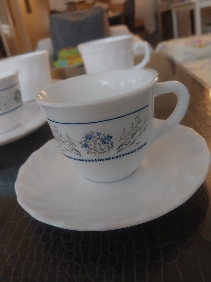 arkopal Fransız - Görsel 2