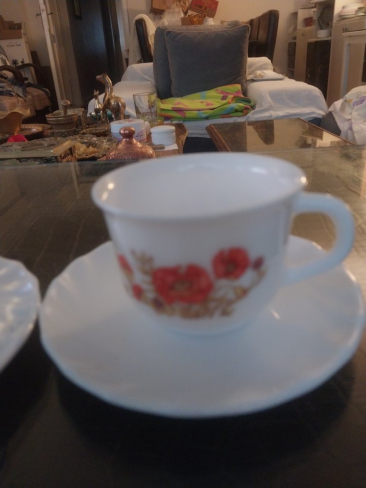 arkopal Fransız. Türk kahve - Görsel 5