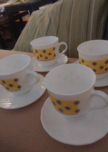 arkopal Fransız - Görsel 8