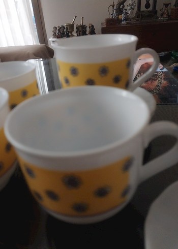 arkopal Fransız - Görsel 2