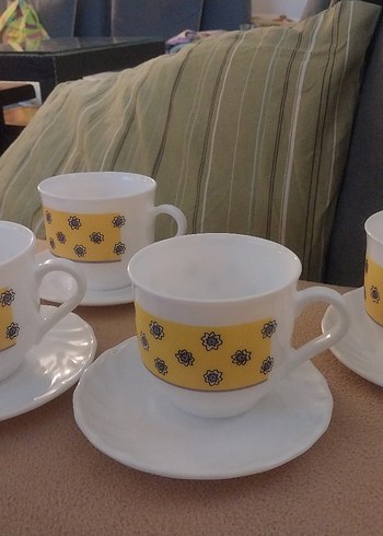 arkopal Fransız - Görsel 6