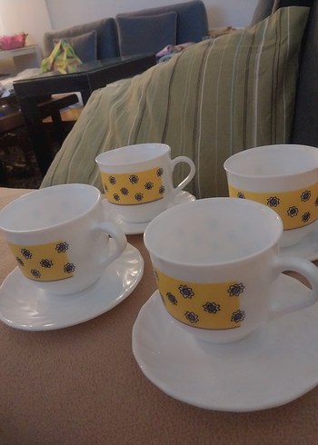 arkopal Fransız - Görsel 7