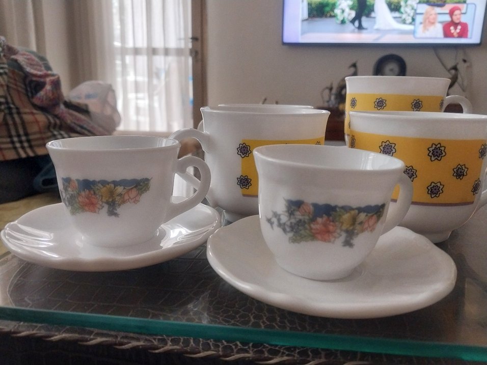 arkopal Fransız - Görsel 3