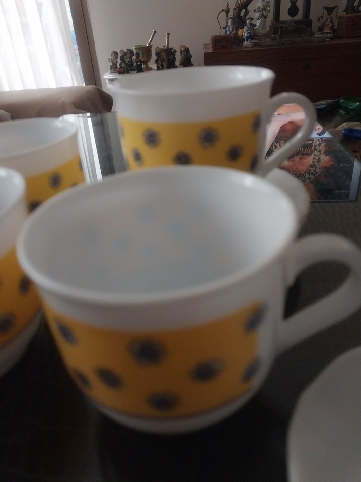 arkopal Fransız - Görsel 2