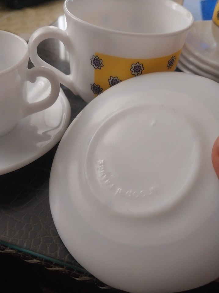 arkopal Fransız - Görsel 4