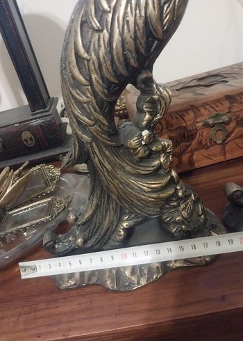 pirinç sülün - Görsel 4