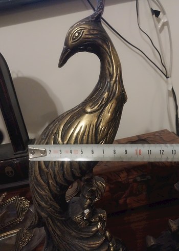 pirinç sülün - Görsel 6