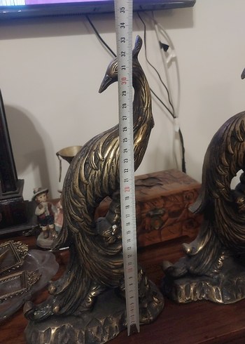 pirinç sülün - Görsel 3