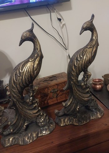 pirinç sülün - Görsel 2