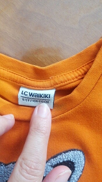 LC Waikiki Sweatshirt 