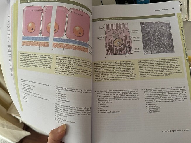 Junqueira Histoloji Textbook 14.baskı