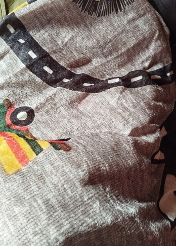 Halı örtüsü - Görsel 2