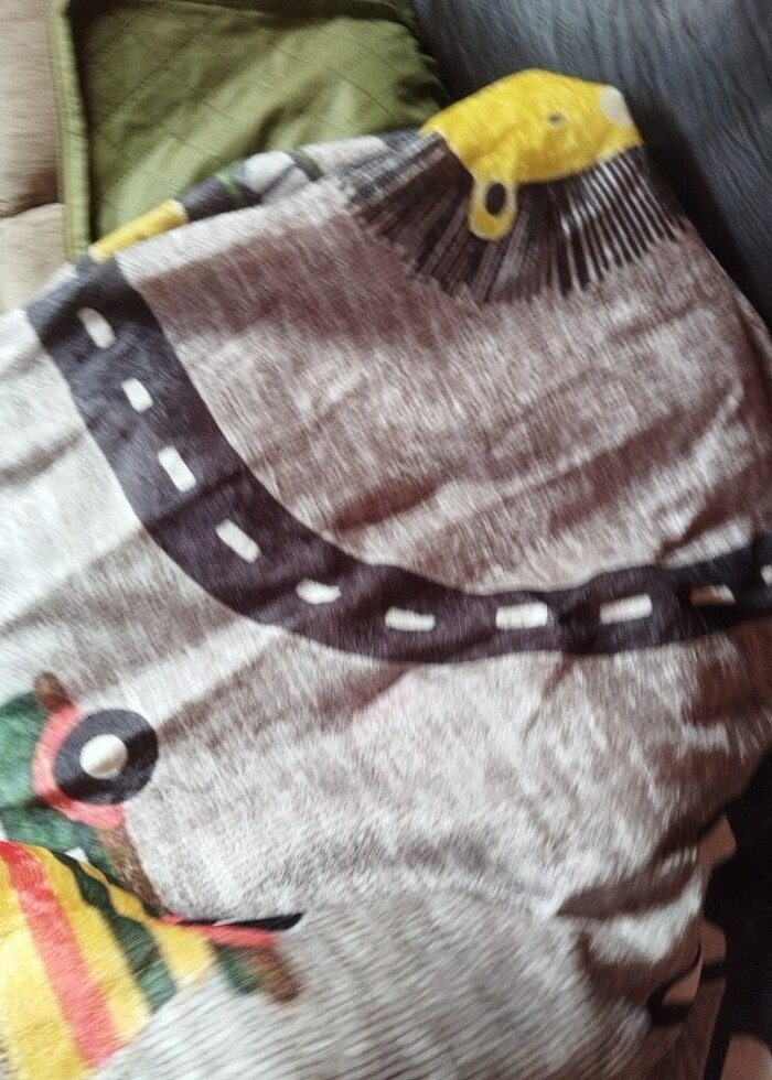 Halı örtüsü - Görsel 5