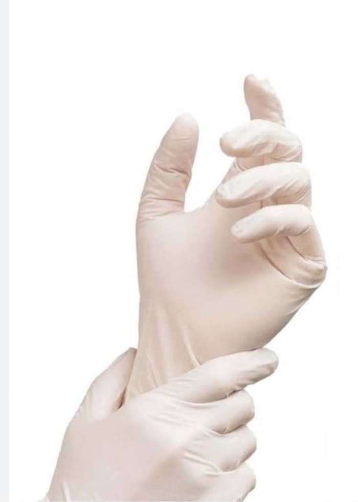 Dolphin pudralı lateks Eldiven - Görsel 5