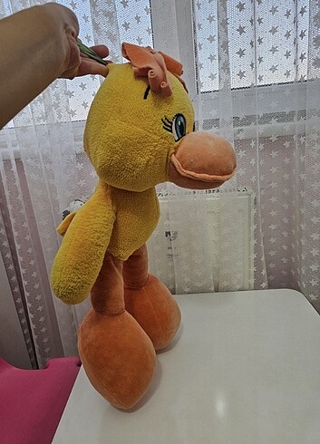 Pelus ördek 