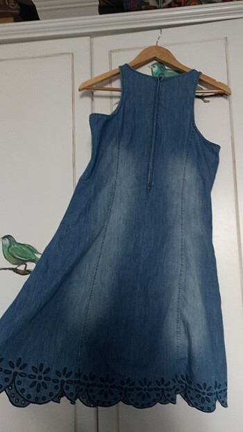 Vena kot elbise - Görsel 4