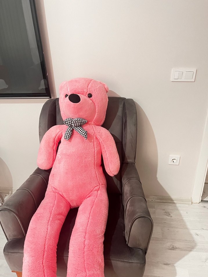 Pembe Uzun Bacaklı Peluş Ayıcık - Görsel 3