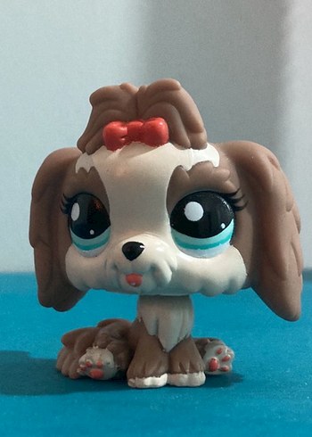 Kurdeleli köpek miniş