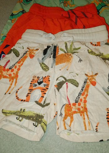 Renkli Erkek Çocuk Pamuklu Şortlar - Görsel 3