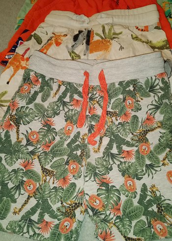 Renkli Erkek Çocuk Pamuklu Şortlar - Görsel 2