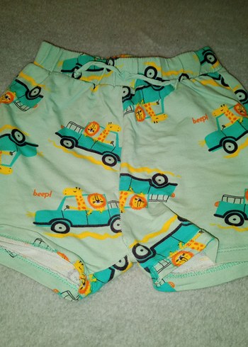 Renkli Erkek Çocuk Pamuklu Şortlar - Görsel 5