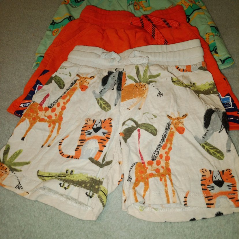 Renkli Erkek Çocuk Pamuklu Şortlar - Görsel 3