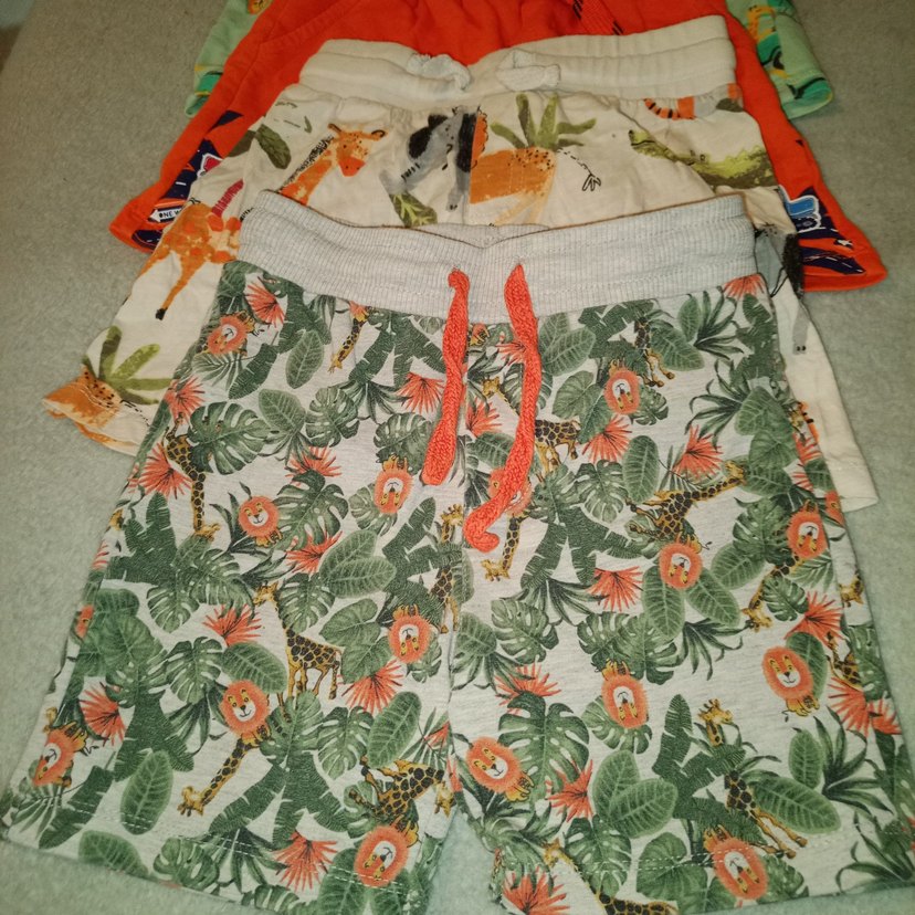 Renkli Erkek Çocuk Pamuklu Şortlar - Görsel 2