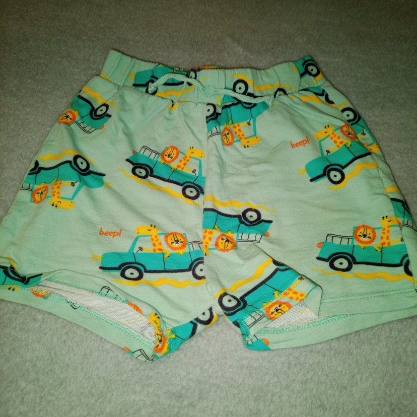 Renkli Erkek Çocuk Pamuklu Şortlar - Görsel 5