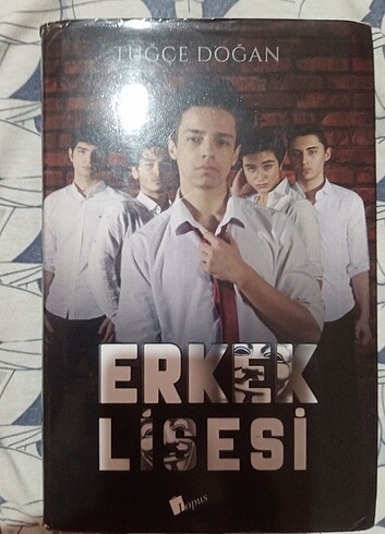 Erkek Lisesi 