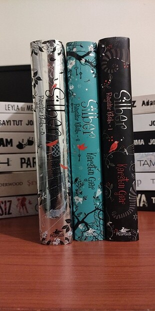 Silber rüyalar kitabı seti