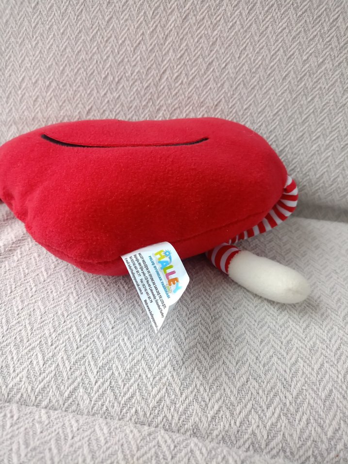 Kırmızı Kalp Tasarımlı Peluş Oyuncak - Görsel 3