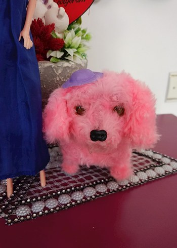 Beden Bebek ve Peluş Köpek