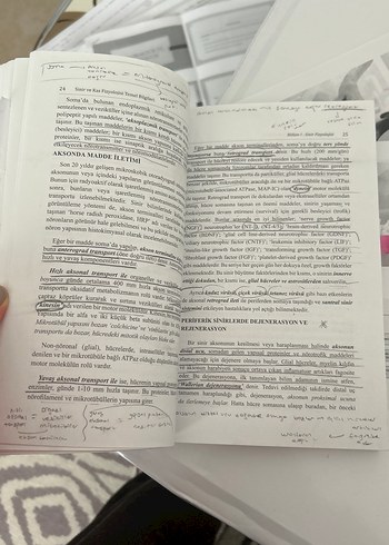 Lamia Pınar Sinir ve Kas Fizyolojisi Temel Bilgileri - Görsel 4