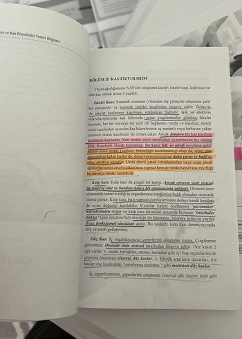 Lamia Pınar Sinir ve Kas Fizyolojisi Temel Bilgileri - Görsel 3